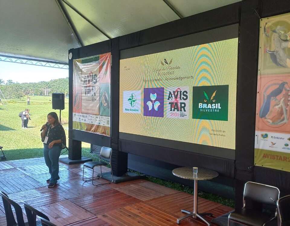 Pará Birding Tour no Avistar 2025