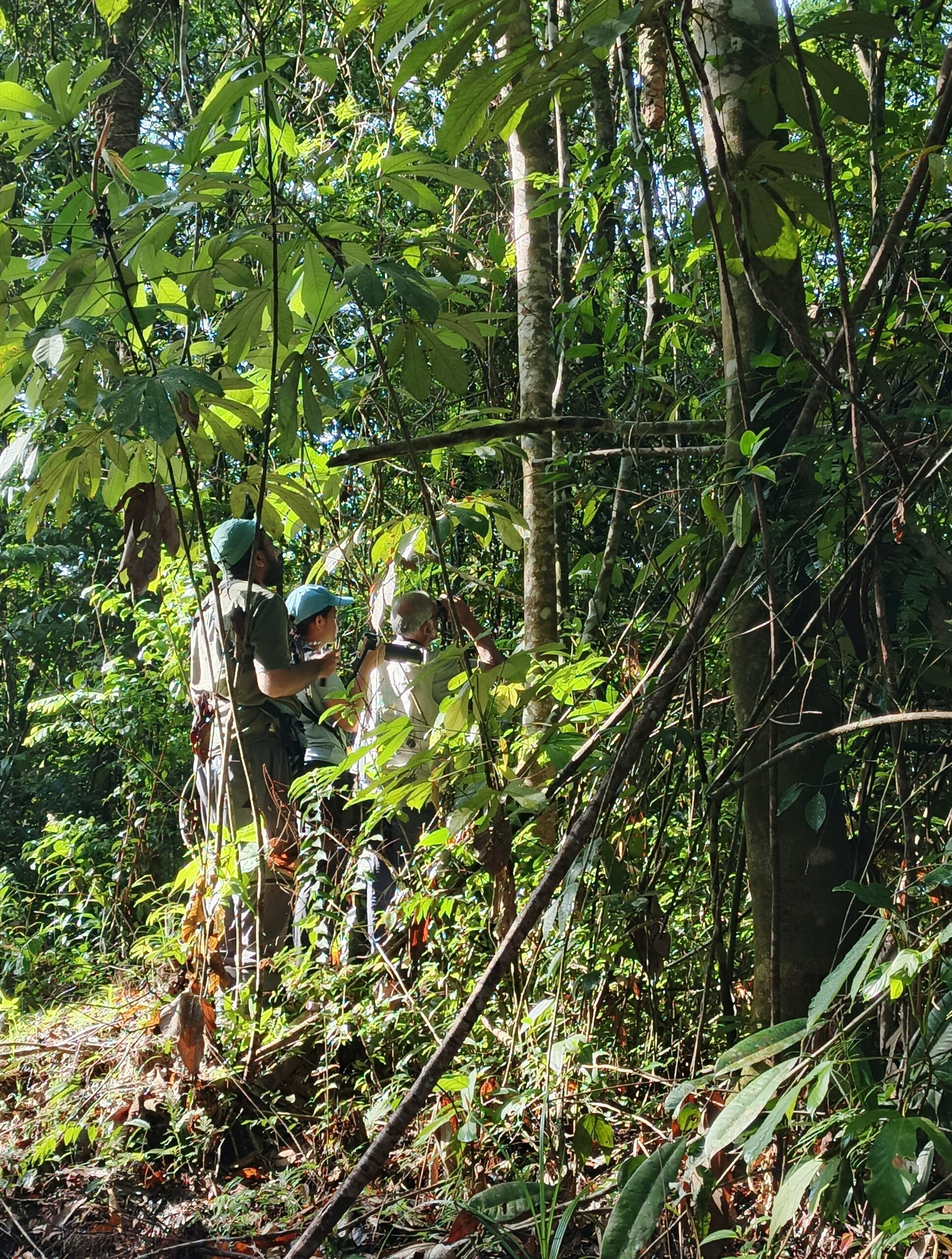 IMG_20251106_081318_801